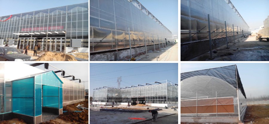 1679649537102018.jpg 1.jpg