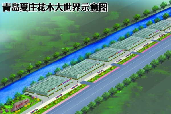 1679989440619938.jpg 青岛夏庄四季采摘园.jpg