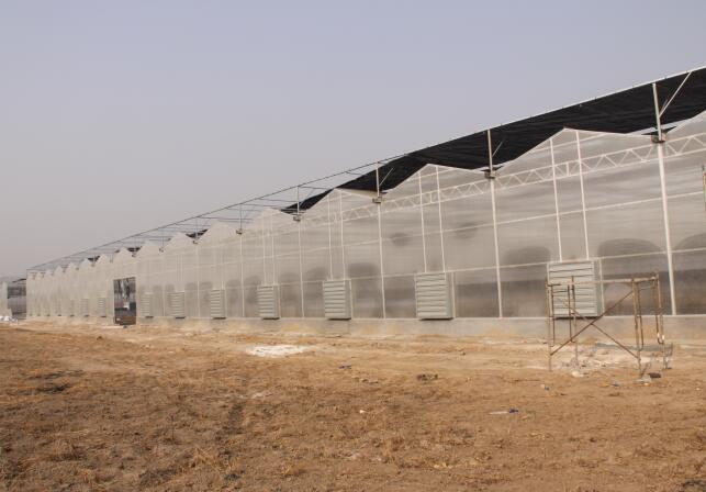 1680057038192469.jpg 3.jpg