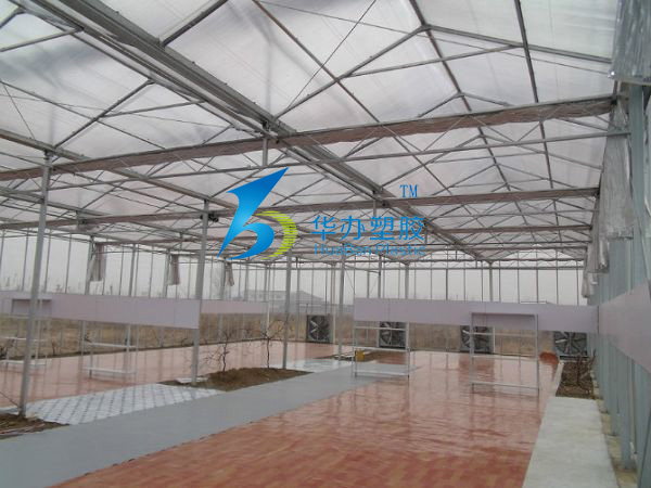 1680141018203395.jpg 1234.jpg