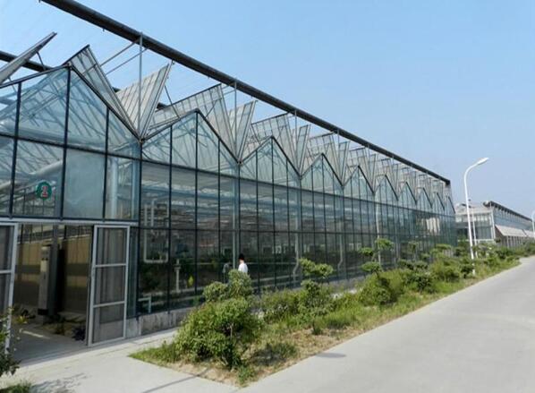 1680757635181943.jpg 32.jpg